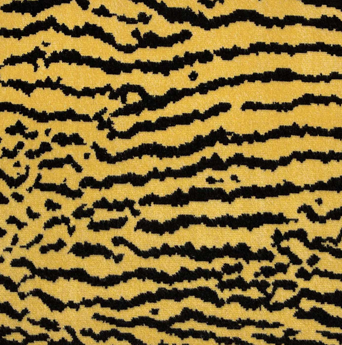 Catz