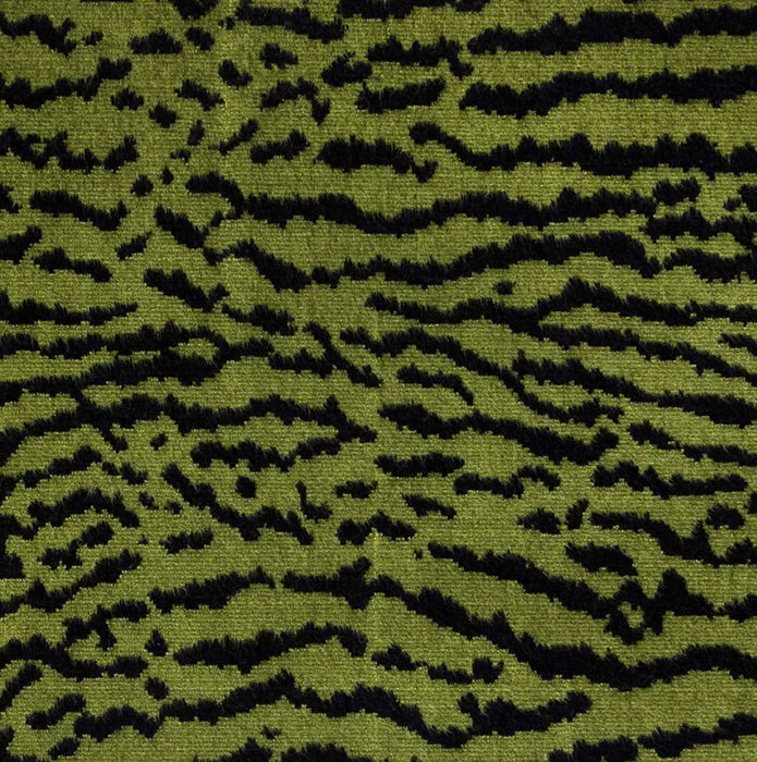 Catz