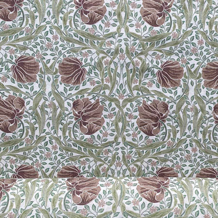 Herbarium | brown