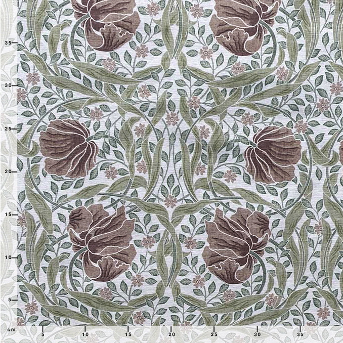 Herbarium | brown